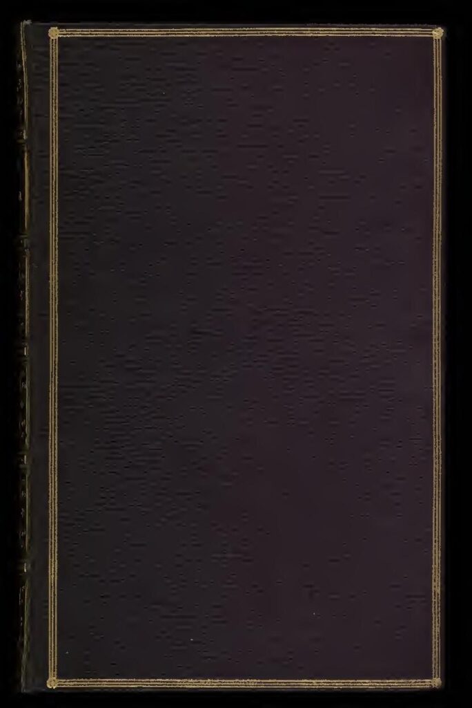 Trouver le bonheur après un divorce : Voici comment aller de l&rsquo;avant