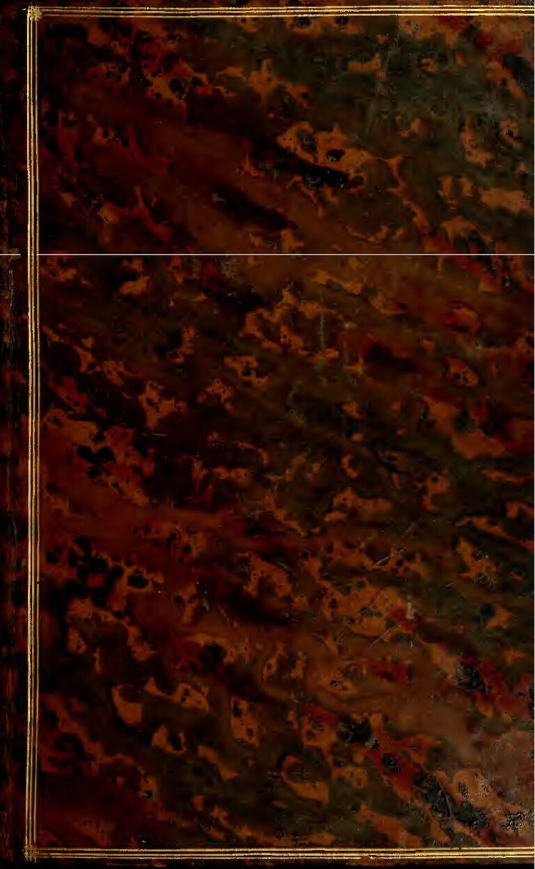 Le pape François veut rencontrer Poutine et Zelensky, la raison