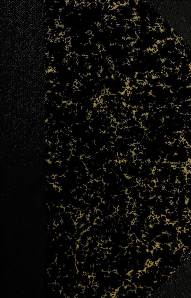 Olivier Giroud fait une annonce surprenante «Non, non, ce n’est pas fini…