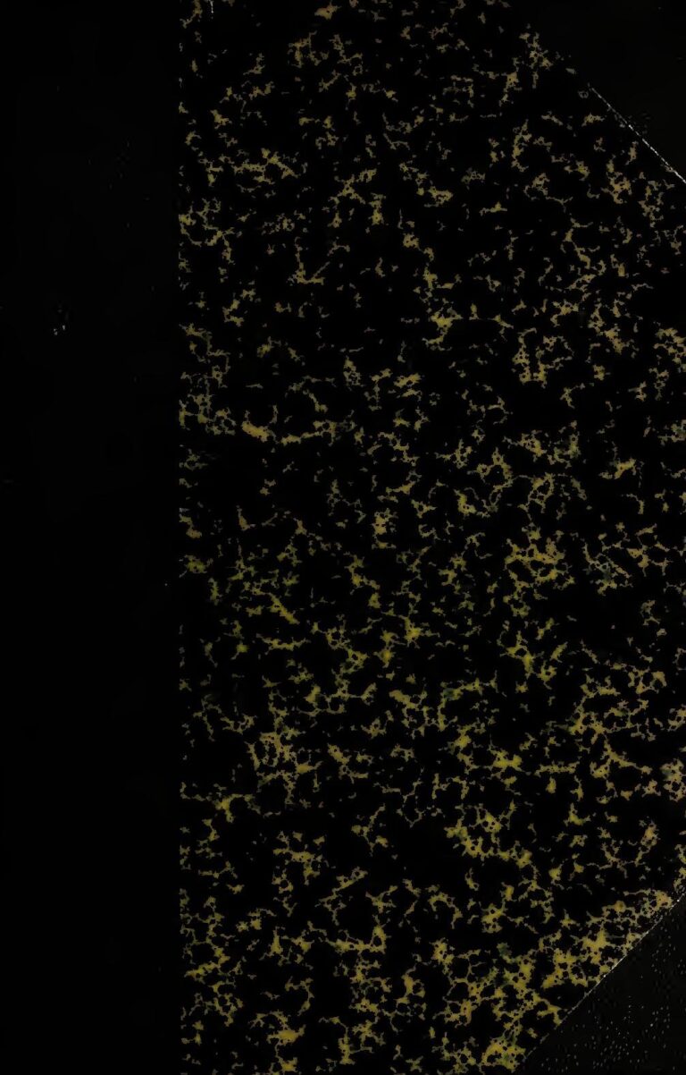 Lille – Lyon : Sur quelle chaîne et à quelle heure suivre le match ?