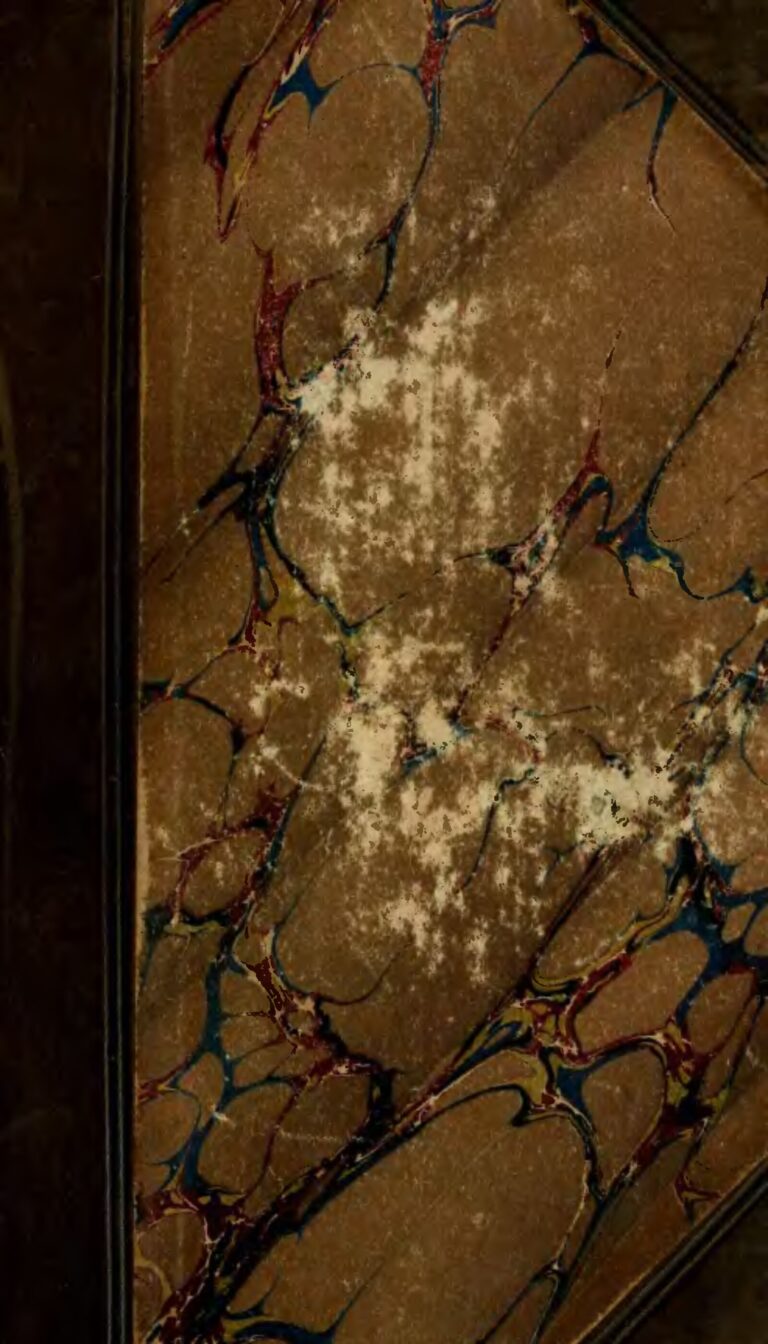 Lolo Beauté après le scandale : « Mes enfants ont déjà vu l’image »