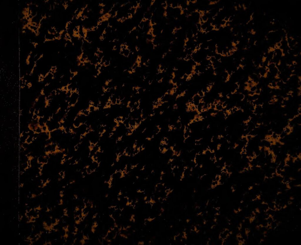 Eudoxie YAO: elle touche 5 millions FCFA pour ”une invitation”. Photos!