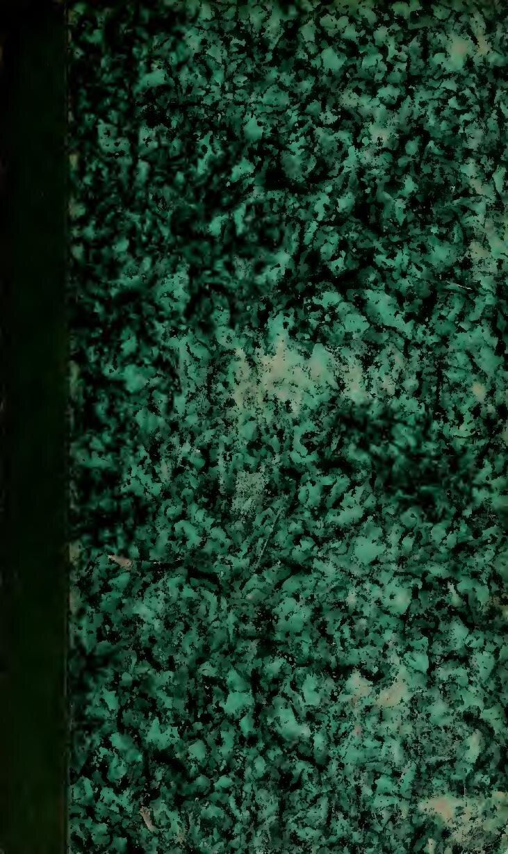 Les grosses accusations qui pèsent sur le Qatar !