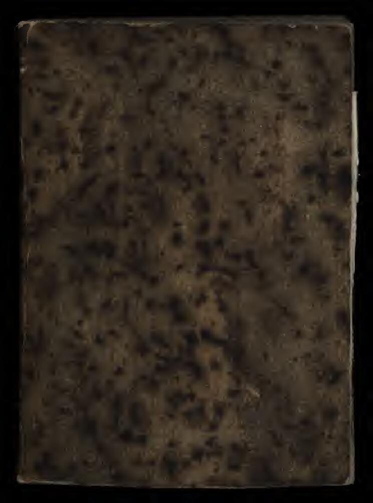 Maria Mobil aux côtés de KS Bloom : La photo fait parler