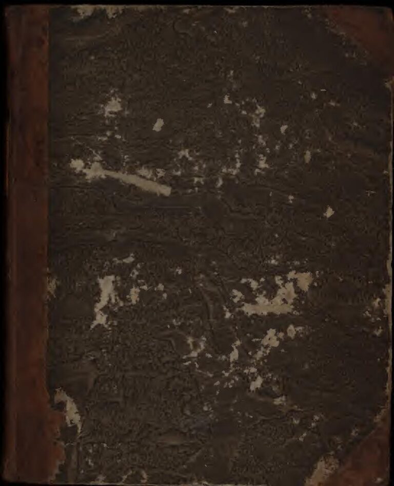 Côte d&rsquo;Ivoire : Un joueur de la ligue 1 décède en plein match