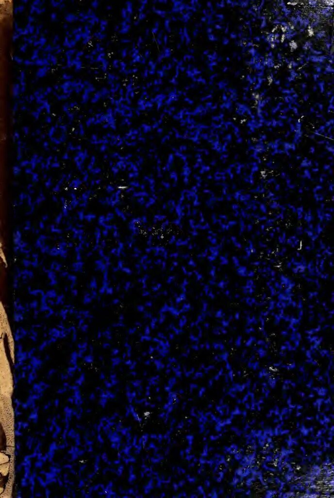 Lil Nas X en couple avec une femme : Son couple avec PinkPantheress fait le buzz