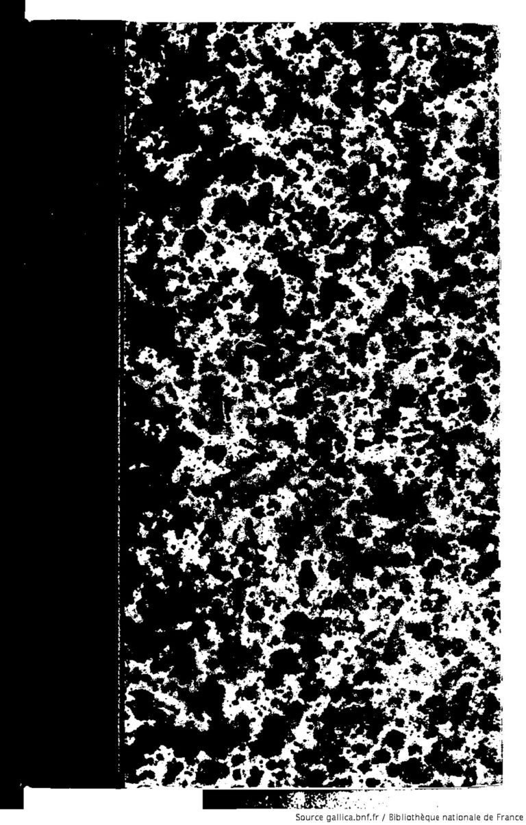 Amical Algérie / Mauritanie vers une annulation !