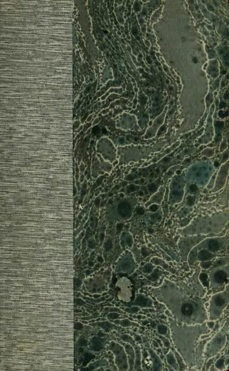 « Ma plus belle histoire d&rsquo;amour », le beau message de Coco Emilia à Francis Mvemba