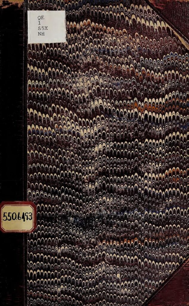 Hervé Renard a nommé la capitaine de l&rsquo;Equipe de France (F)