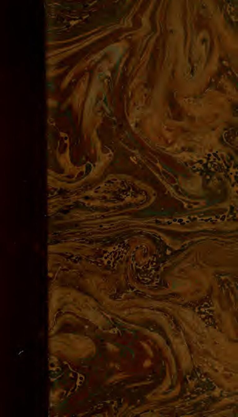 Insolite : Un chat élu maire d&rsquo;une ville en Alaska