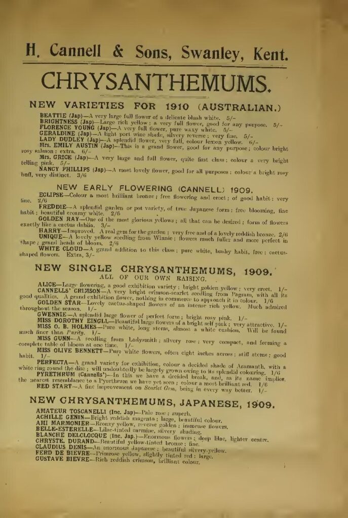 Muriel Blanche, l&rsquo;influenceuse camerounaise affiche un look de 6 millions F CFA (PHOTO)