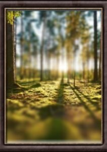 Real Madrid vs Manchester City : Voici les compositions officielles du match