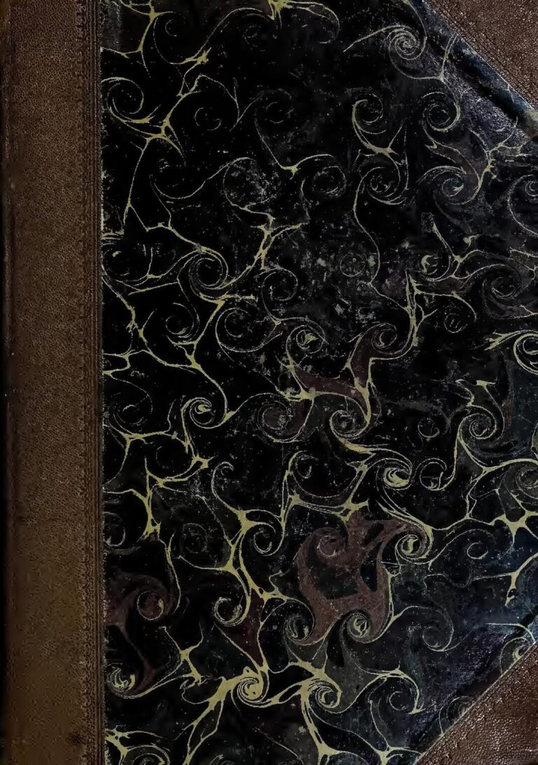 Le 19 Août 2017, la miss des vacances sera connue.