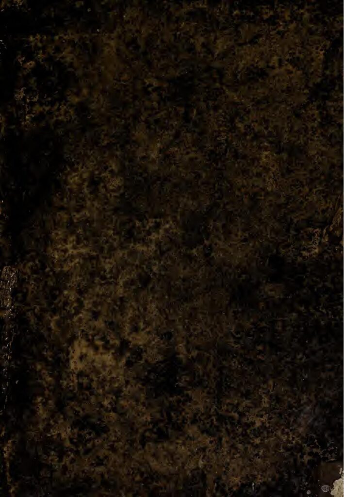 AS Roma et Sevilla FC se qualifient pour la finale de la Ligue Europa