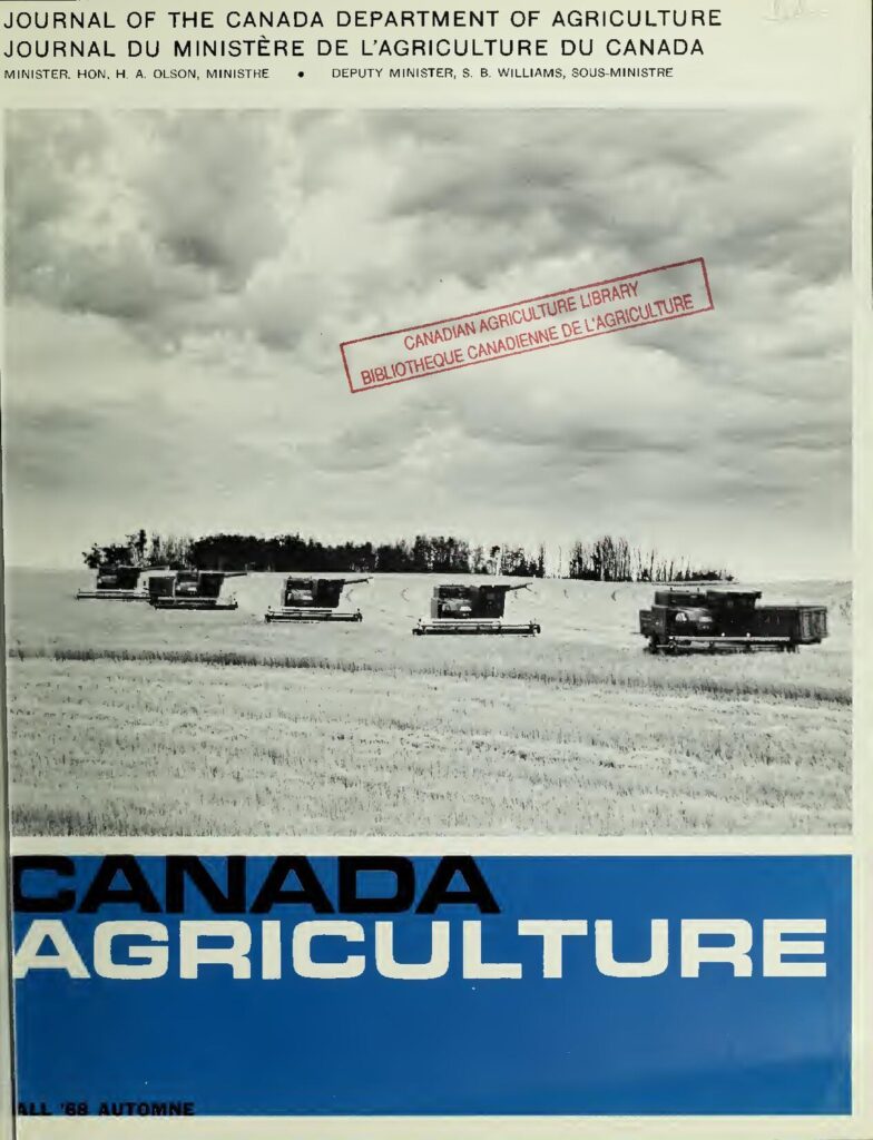 Voici ce que le Ghana prévoit faire avant la Coupe du monde 2022