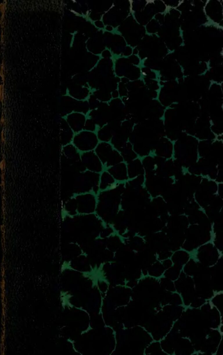 Roi 12 12 : L&rsquo;homme d&rsquo;affaires malien reçoit la bonne nouvelle du siècle