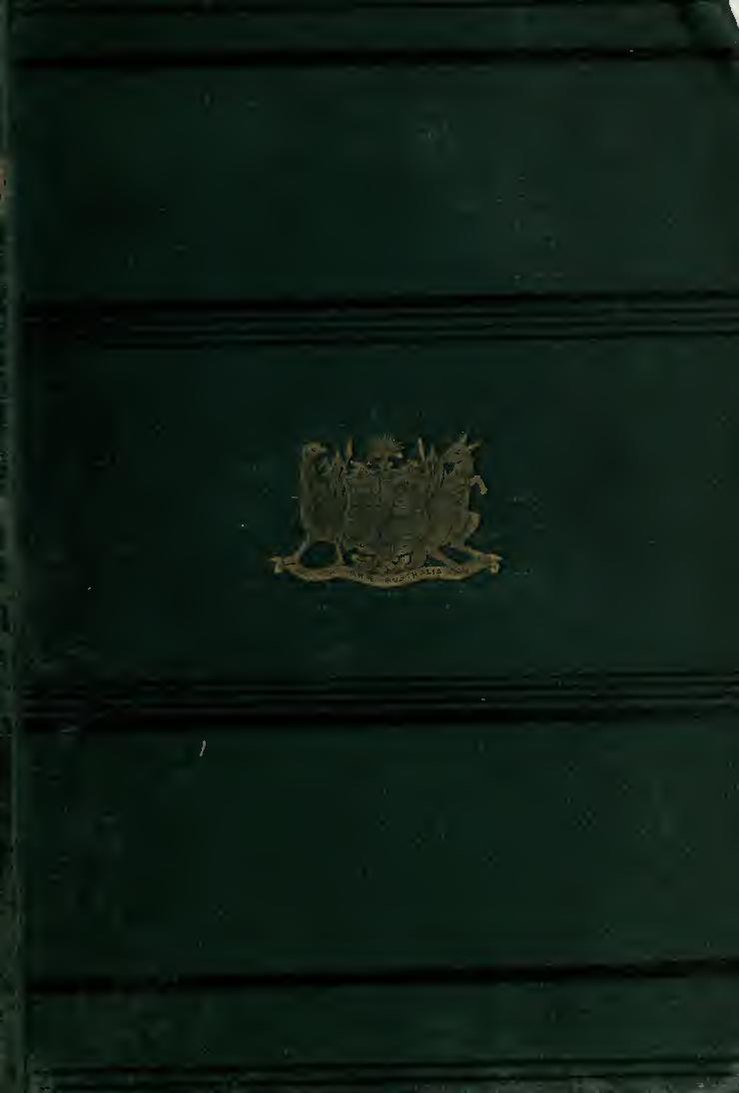 Dirty Ground: Le Basket Ball autrement!