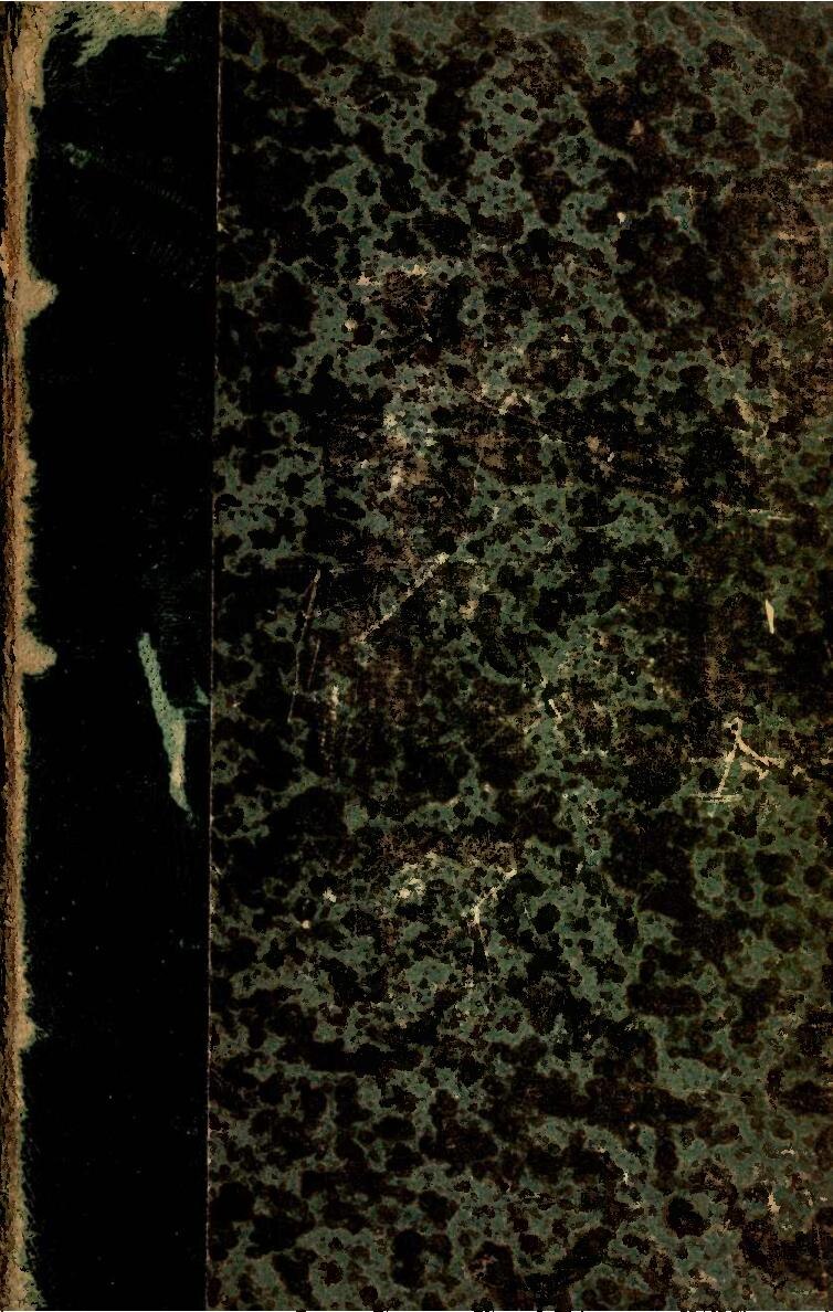 Tunisie : un critique du président Kais Saied emprisonné