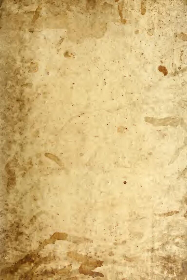 Vidéo : Ces femmes qui font le commerce du sexe (les vendeuses de piment)