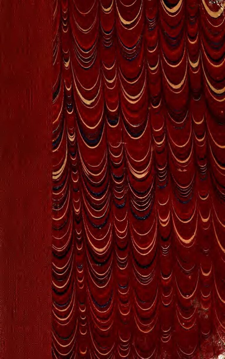 Les pays africains où il neige : Des merveilles insoupçonnées du continent