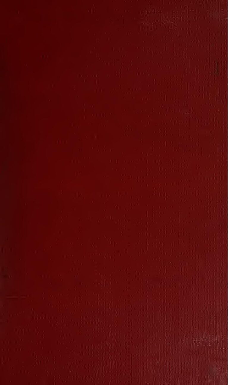 Panique en Afrique du Sud : quatre lions s’évadent d’un parc