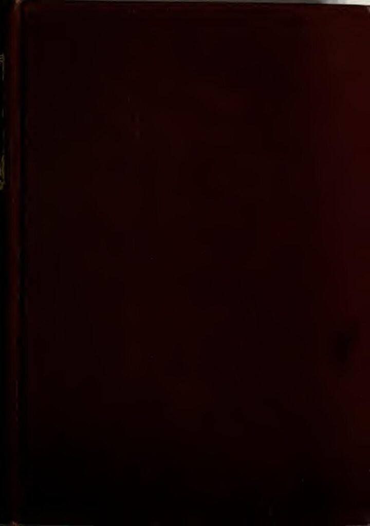 Bourse de building for peace offerte 2023