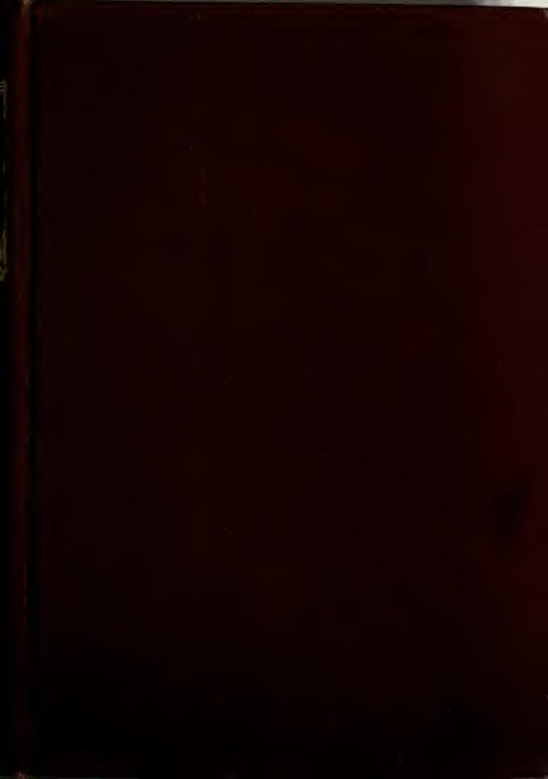 Bourse de building for peace offerte 2023