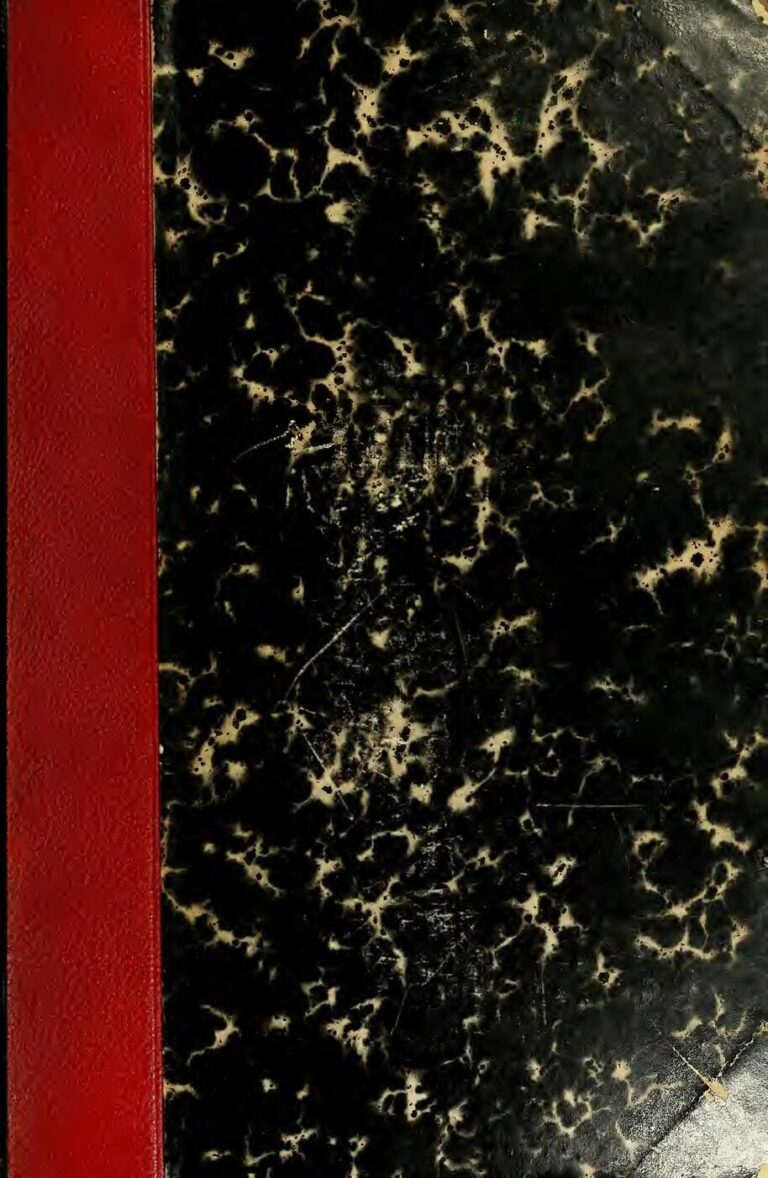 Padova offre une bourse aux étudiants Internationaux