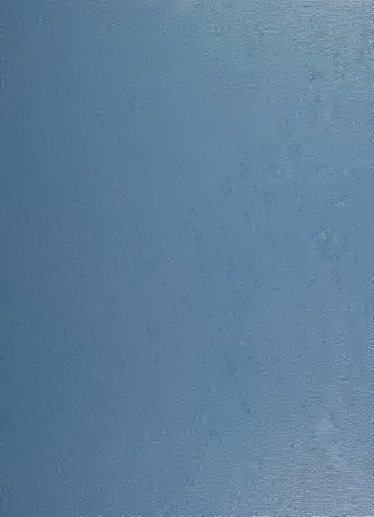 Too Much – Rien Que Too Much (Clip Vidéo)