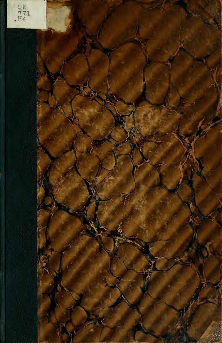 Bonne nouvelle pour Mani Bella : La chanteuse a enfin accouché