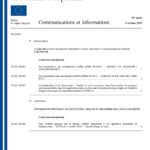 Afrique du Sud : Comprendre le Burkina Faso en 5 points essentiels