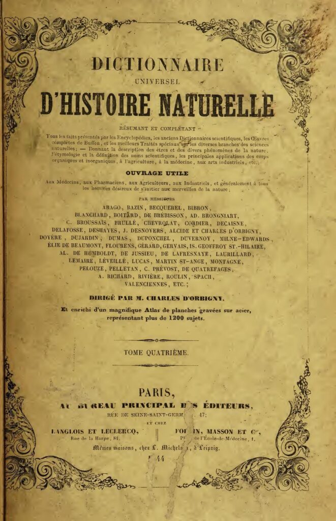 #FOOTBALL Coupe du Monde 2018 : La liste des 23 du Brésil