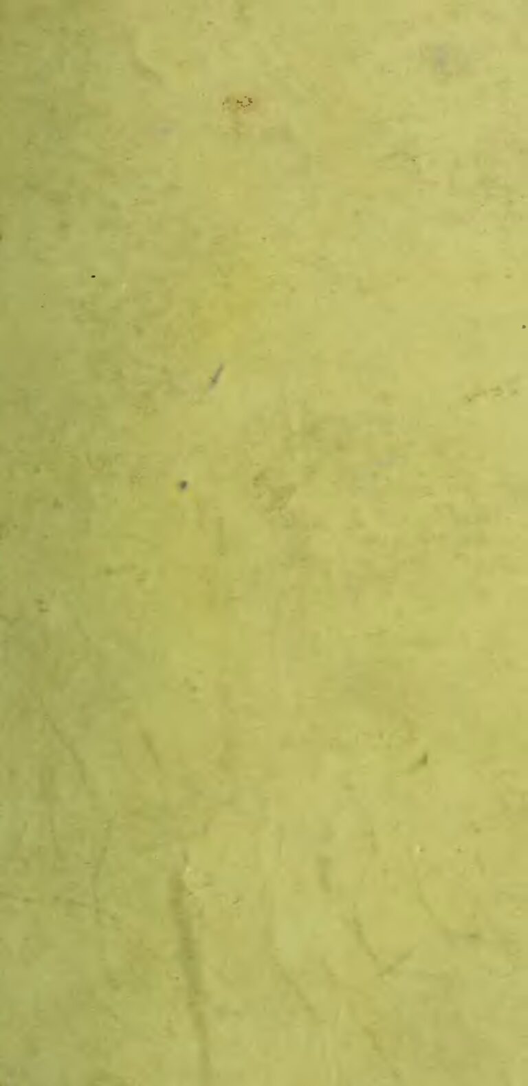 DAPHNE – Je pense à toi Clip