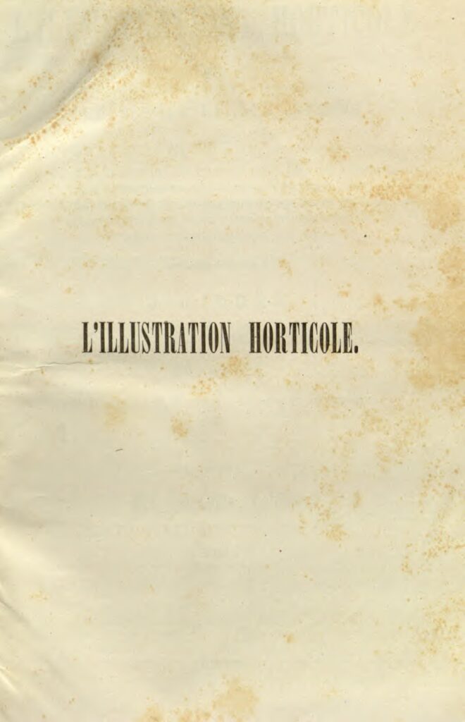 Belgique 2 vs Angleterre 0 Eden Hazard encore décisif !