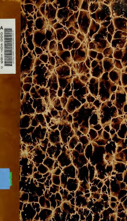 Royaume-Uni: Voici l’aliment que ne mange jamais la famille royale