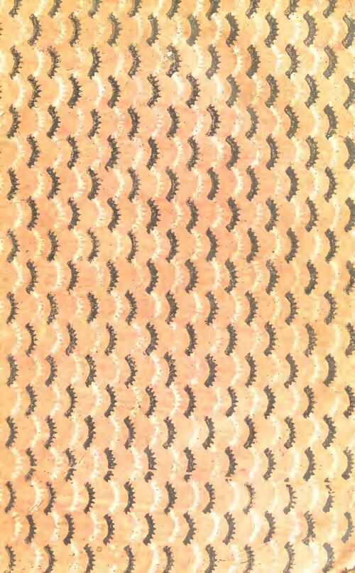 Zambie: l’ex première dame poursuit en justice ses domestique