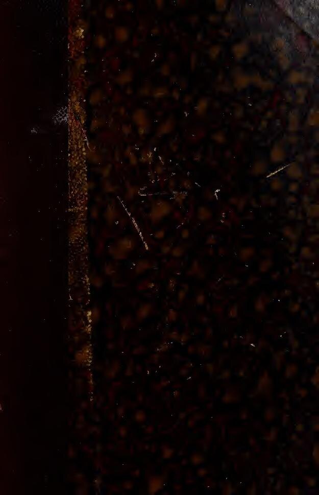 Miss Monde/Miss Univers : Voici la différence entre les deux grands concours de beauté au monde (vidéo)