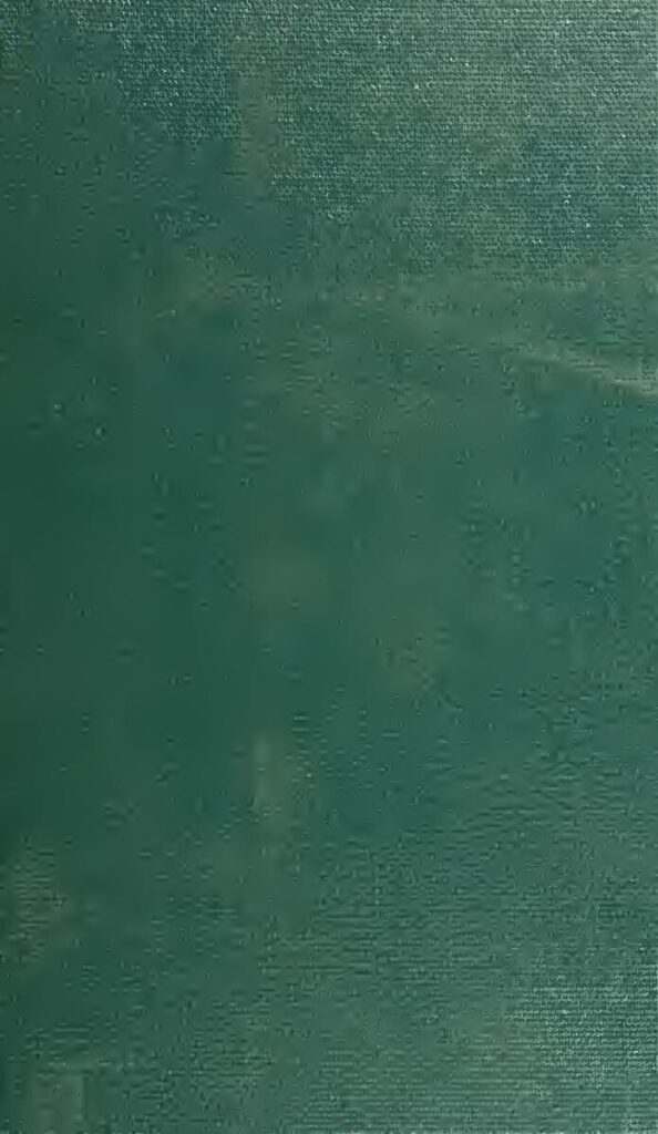 Alicia Aylies aux anges : La Miss France 2017 accueille son premier enfant