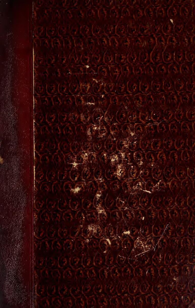 Rudi Garcia vient d&rsquo;être nommé entraineur de Naples