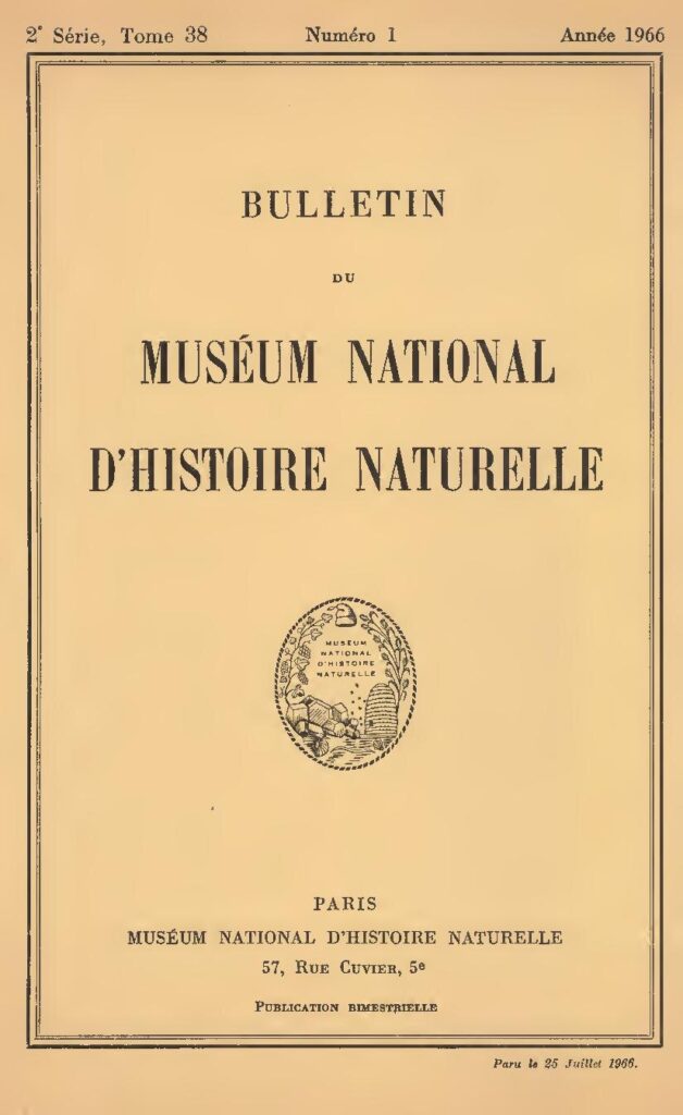 Ghana : Une femme blanche vue comme un motard (vidéo)