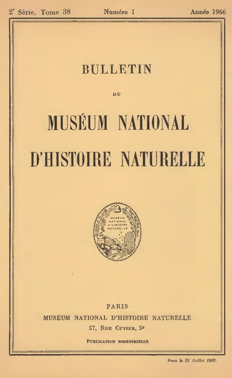 Afrique du Sud : Le centenaire de feu Nelson Mandela célébré à travers le monde