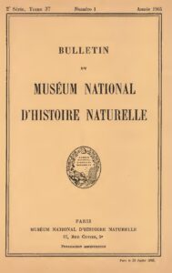 Nigeria et Côte d&rsquo;Ivoire : un voyage au cœur des traditions partagées et singulières