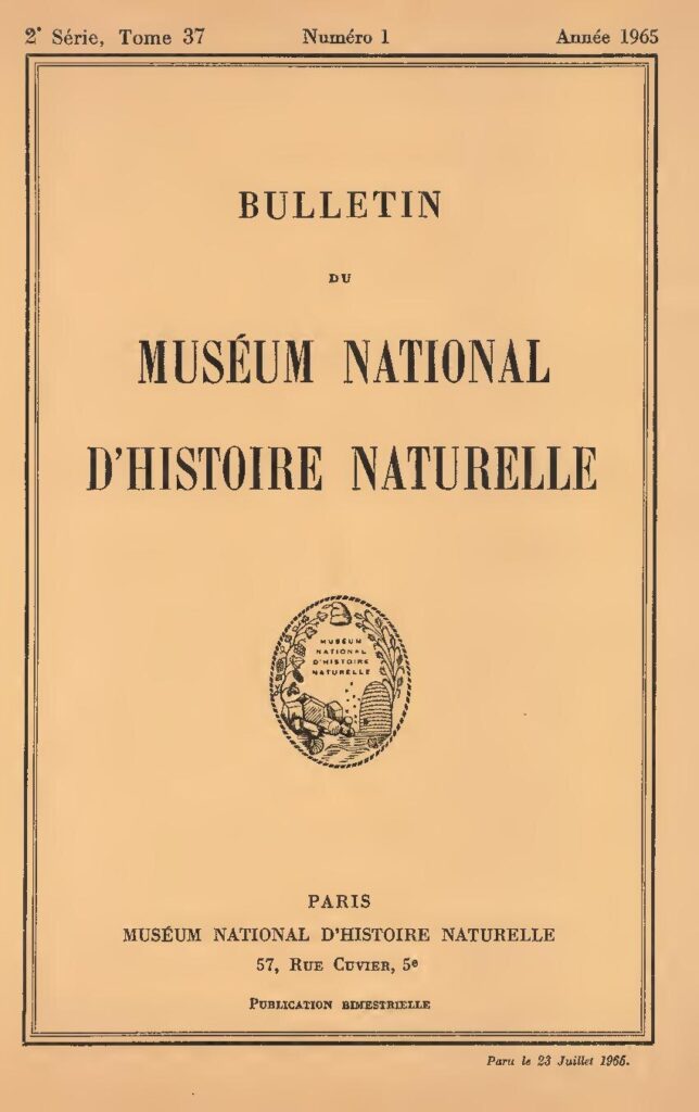 Nigeria et Côte d&rsquo;Ivoire : un voyage au cœur des traditions partagées et singulières