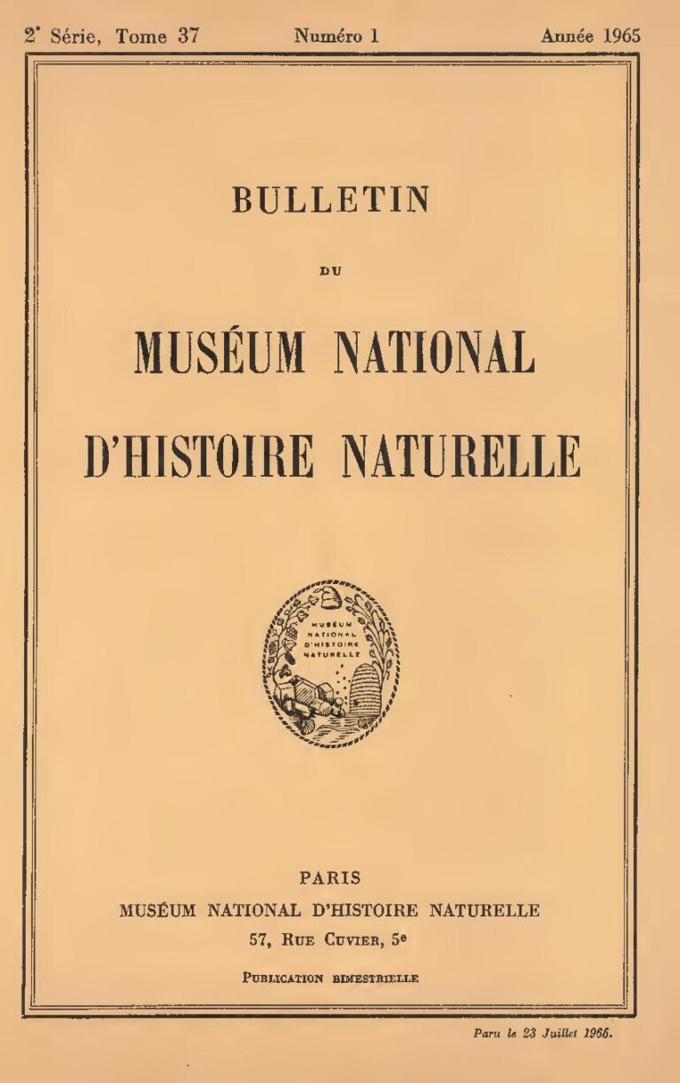 Nigeria et Côte d&rsquo;Ivoire : un voyage au cœur des traditions partagées et singulières