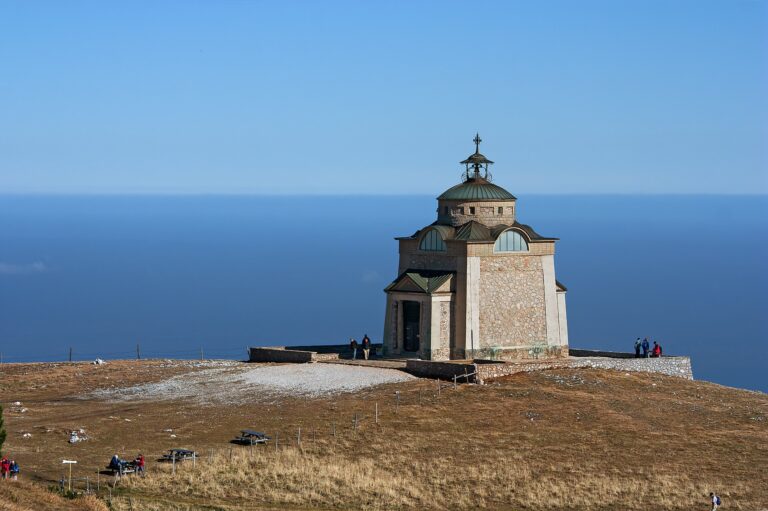 Tebboune : Origine, Signification et Anecdotes autour de ce Nom Algérien