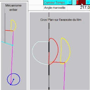 Vidéo choc : « Il n&rsquo;y a pas de place au Canada », une Canadienne prévient les Africains