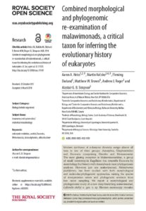 CAN Féminine 2018: 8 équipes à l’assaut du Nigeria