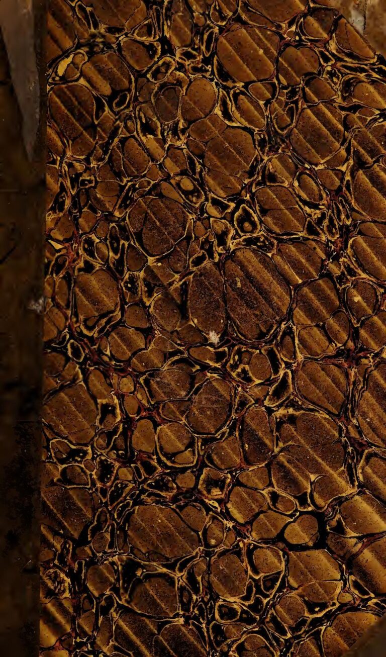 Recrutement d’un coursier