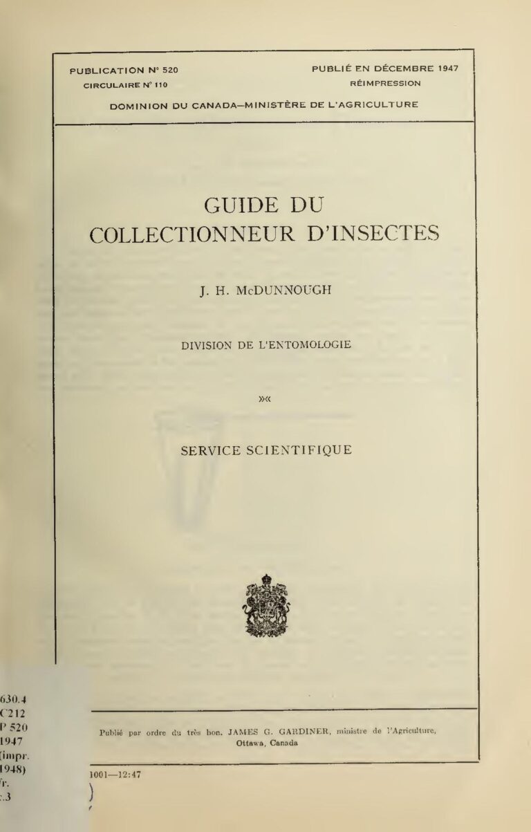 Battre des records : 10 moments inoubliables de l&rsquo;histoire du sport