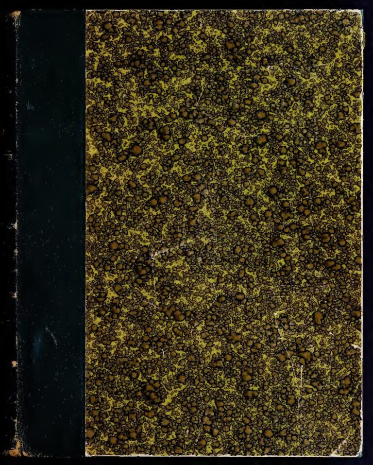 Côte d’Ivoire: La date de la reprise des élections locales connue